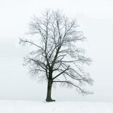 Loneliness and sadness concept stock photos Loneliness and sadness concept stock photos
