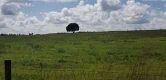 Old dirt road royalty free stock photography Old dirt road royalty free stock photography