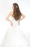 Long curly hair. Bride hairstyle. Back view royalty free stock image Long curly hair. Bride hairstyle. Back view royalty free stock image