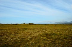 Long deep field near seashore with blue summer sky. Background Royalty Free Stock Photography Long deep field near seashore with blue summer sky. Background Royalty Free Stock Photography