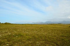 Long deep field near seashore with blue summer sky. View Stock Photos Long deep field near seashore with blue summer sky. View Stock Photos