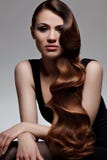 Long Wavy Hair. Good quality retouching. royalty free stock photos Long Wavy Hair. Good quality retouching. royalty free stock photos