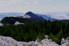 Freedom in the mountains royalty free stock images Freedom in the mountains royalty free stock images