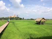 Lopp Wat Tham Sua Temple med risfält i det Kanchanaburi för kafé för kafécoffee shopmeena landskapet, Thailand arkivbilder Lopp Wat Tham Sua Temple med risfält i det Kanchanaburi för kafé för kafécoffee shopmeena landskapet, Thailand arkivbilder