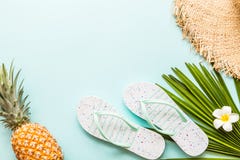 Lopplägenheten lägger objekt: ny ananas, strandhäftklammermatare, tropisk blomma och palmblad som ligger på blå bakgrund placera arkivbilder Lopplägenheten lägger objekt: ny ananas, strandhäftklammermatare, tropisk blomma och palmblad som ligger på blå bakgrund placera arkivbilder