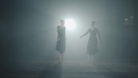Los bailarines de ballet muestran pas clásico del ballet en proyector en fondo negro en estudio Dos bailarinas profesionales agra metrajes Los bailarines de ballet muestran pas clásico del ballet en proyector en fondo negro en estudio Dos bailarinas profesionales agra metrajes