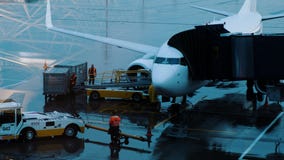 Los cargadores trajeron el equipaje a la banda transportadora del avión, preparándose para cargar las maletas a bordo imagen de archivo Los cargadores trajeron el equipaje a la banda transportadora del avión, preparándose para cargar las maletas a bordo imagen de archivo