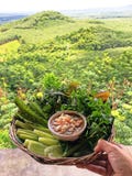 Los chiles sumergen con las verduras en una cesta imagen de archivo libre de regalías Los chiles sumergen con las verduras en una cesta imagen de archivo libre de regalías