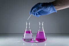 Los científicos dan con un guante médico que analizan muestras de la química en los frascos de cristal de la química imagenes de archivo Los científicos dan con un guante médico que analizan muestras de la química en los frascos de cristal de la química imagenes de archivo
