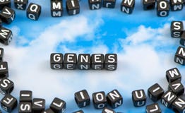 Los genes de la palabra fotografía de archivo libre de regalías Los genes de la palabra fotografía de archivo libre de regalías