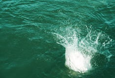 Los individuos saltan en el agua que toma un baño fotografía de archivo libre de regalías Los individuos saltan en el agua que toma un baño fotografía de archivo libre de regalías