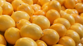 Los limones amarillos maduros hermosos grandes están en el cierre del contador del mercado encima de la visión almacen de video Los limones amarillos maduros hermosos grandes están en el cierre del contador del mercado encima de la visión almacen de video