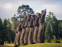Los moais de Ahu Akivi en la isla de pascua fotografía de archivo libre de regalías Los moais de Ahu Akivi en la isla de pascua fotografía de archivo libre de regalías