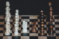 Los pedazos de ajedrez knights para un pilar en chessbo imágenes de archivo libres de regalías Los pedazos de ajedrez knights para un pilar en chessbo imágenes de archivo libres de regalías