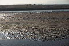 Los rastros del mar en la playa representaban gráficamente imágenes de archivo libres de regalías Los rastros del mar en la playa representaban gráficamente imágenes de archivo libres de regalías