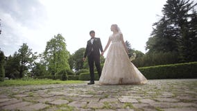 Los recienes casados están caminando en el parque cerca del castillo grande Novia hermosa con el novio hermoso almacen de video Los recienes casados están caminando en el parque cerca del castillo grande Novia hermosa con el novio hermoso almacen de video