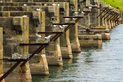 Los restos de un puente que es utilizado como gallinero del pájaro fotos de archivo libres de regalías Los restos de un puente que es utilizado como gallinero del pájaro fotos de archivo libres de regalías