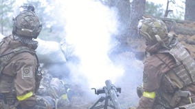 Los soldados en camuflaje con las armas del combate hacen su manera fuera del bosque, con el objetivo de capturarlo, los militare Los soldados en camuflaje con las armas del combate hacen su manera fuera del bosque, con el objetivo de capturarlo, los militare