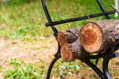 Los troncos quebrados de árboles en la madera se doblan debajo de barbacoa imagen de archivo libre de regalías Los troncos quebrados de árboles en la madera se doblan debajo de barbacoa imagen de archivo libre de regalías