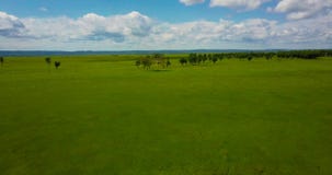 Lot nad quadcopter nad zieloną łąką zbiory Lot nad quadcopter nad zieloną łąką zbiory