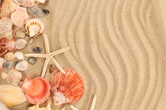 Lot Of Shells And Seastars On Sandy Background Stock Photos