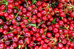 A lot of ripe and sweet cherries on the counter royalty free stock images A lot of ripe and sweet cherries on the counter royalty free stock images