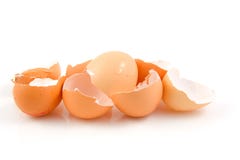 Lots Of Broken Egg Shells Stock Photo Lots Of Broken Egg Shells Stock Photo