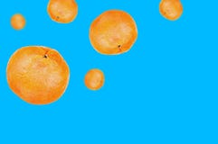 Lott av nya hela l?ckra orange mandariner som in faller ner p? bl? bakgrund med kopieringsutrymme f?r din text arkivfoto Lott av nya hela l?ckra orange mandariner som in faller ner p? bl? bakgrund med kopieringsutrymme f?r din text arkivfoto