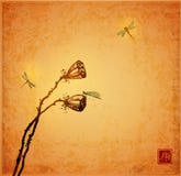 Lotus seed heads and dragonflies on vintage background. Traditional oriental ink painting sumi-e, u-sin, go-hua royalty free illustration Lotus seed heads and dragonflies on vintage background. Traditional oriental ink painting sumi-e, u-sin, go-hua royalty free illustration