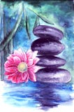 Lotus and stones in water royalty free illustration Lotus and stones in water royalty free illustration