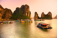 Louro de Halong, Vietnam. Foto de Stock Louro de Halong, Vietnam. Foto de Stock