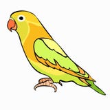 Lovebirds parrot with a red beak. vector illustration stock illustration Lovebirds parrot with a red beak. vector illustration stock illustration