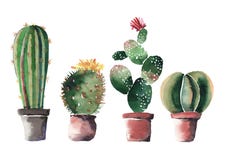 Lovely cute graphic wonderful abstract beautiful bright summer four cactuses in red and brown clay pots with flowers vector illustration Lovely cute graphic wonderful abstract beautiful bright summer four cactuses in red and brown clay pots with flowers vector illustration