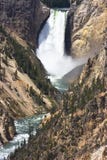 Lower Yellowstone Falls Wyoming Royalty Free Stock Image Lower Yellowstone Falls Wyoming Royalty Free Stock Image