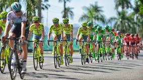 LTDL obrazy stock LTDL obrazy stock