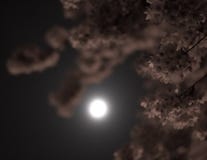 Lua atrav?s das ?rvores foto de stock Lua atrav?s das ?rvores foto de stock