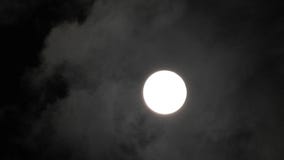 Lua cheia com as nuvens que passam perto no c?u noturno escuro video estoque Lua cheia com as nuvens que passam perto no c?u noturno escuro video estoque