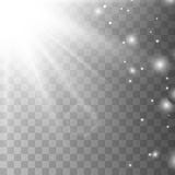 Luce solare bianca trasparente di vettore illustrazione vettoriale Luce solare bianca trasparente di vettore illustrazione vettoriale