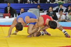 Lucha Lucha