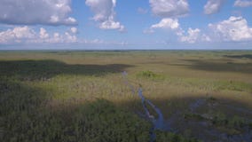 Luchtflorida Everglades Juli 2017 Sunny Day 4K inspireert 2 stock video Luchtflorida Everglades Juli 2017 Sunny Day 4K inspireert 2 stock video