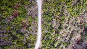 Luchthommelbeeld van een weg tussen bomen stock fotografie Luchthommelbeeld van een weg tussen bomen stock fotografie