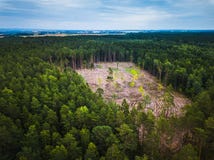 Luchtmening van het bos hakken stock fotografie Luchtmening van het bos hakken stock fotografie