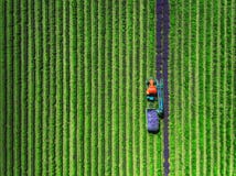 Luchtmening van Tractor het oogsten gebied van lavendel royalty-vrije stock fotografie Luchtmening van Tractor het oogsten gebied van lavendel royalty-vrije stock fotografie