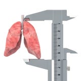 Ludzcy płuca z noniuszu caliper Diagnoza i traktowanie płuca pojęcie, 3D rendering ilustracja wektor Ludzcy płuca z noniuszu caliper Diagnoza i traktowanie płuca pojęcie, 3D rendering ilustracja wektor