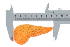 Ludzka trzustka z noniuszu caliper Diagnoza i traktowanie trzustkowy pojęcie, 3D rendering royalty ilustracja Ludzka trzustka z noniuszu caliper Diagnoza i traktowanie trzustkowy pojęcie, 3D rendering royalty ilustracja