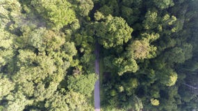 Luftstraße im tropischen Regenwald Lizenzfreie Stockbilder Luftstraße im tropischen Regenwald Lizenzfreie Stockbilder