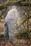 Lumberjack pracuje z piłą łańcuchową obraz stock Lumberjack pracuje z piłą łańcuchową obraz stock