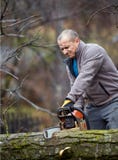 Lumberjack pracuje z piłą łańcuchową obraz stock Lumberjack pracuje z piłą łańcuchową obraz stock