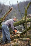Lumberjack pracuje z piłą łańcuchową fotografia stock Lumberjack pracuje z piłą łańcuchową fotografia stock