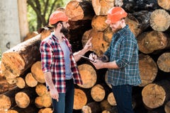 lumberjack in protective helmet pointing by finger on logs to partner while he writing stock photography lumberjack in protective helmet pointing by finger on logs to partner while he writing stock photography